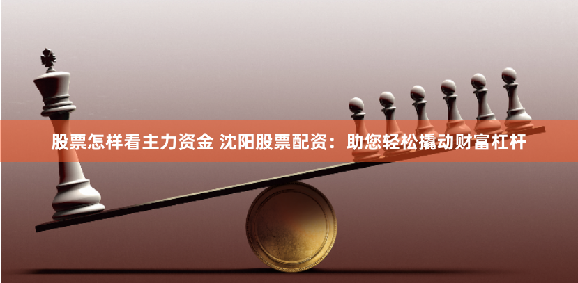 股票怎样看主力资金 沈阳股票配资：助您轻松撬动财富杠杆
