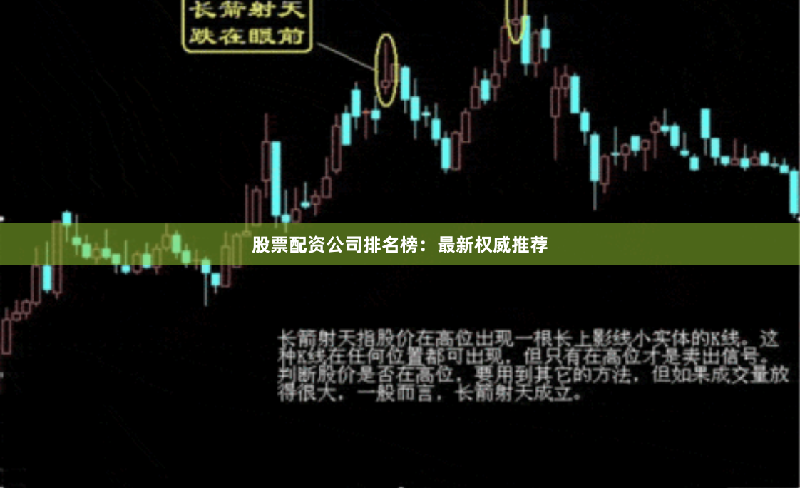 股票配资公司排名榜：最新权威推荐