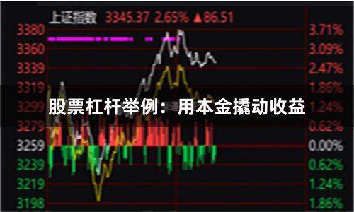 股票杠杆举例：用本金撬动收益